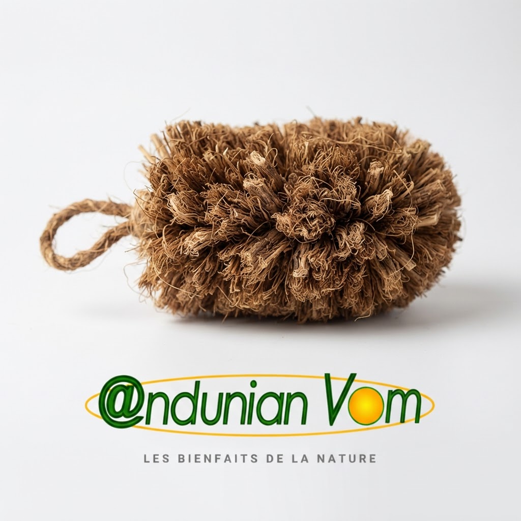Curdin Naturel — Brosse Végétale Médicinale