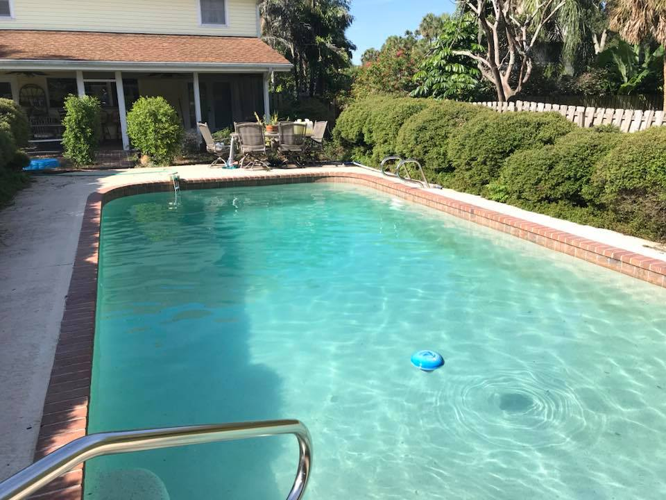 Before: green algae-filled pool