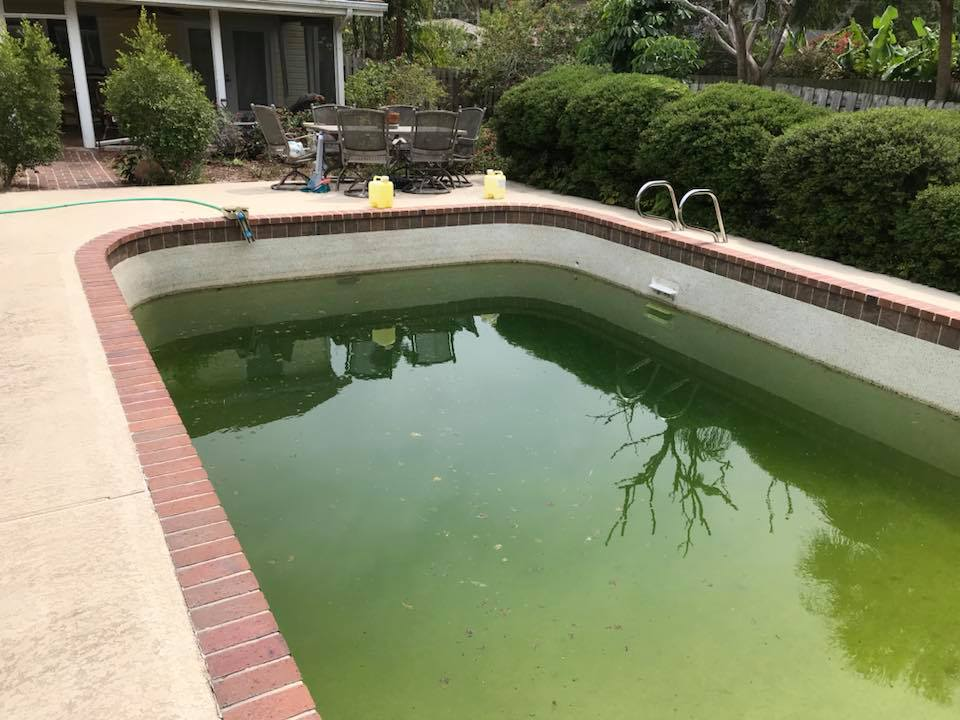 After: crystal clear clean pool