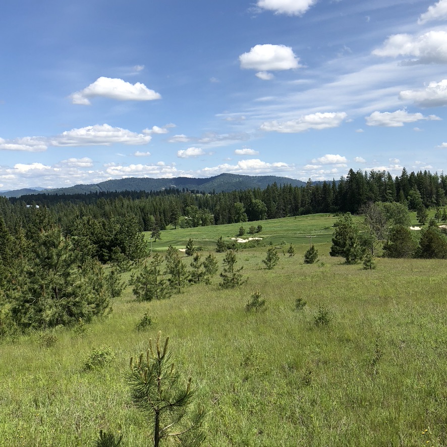 The Ranches at CDA National