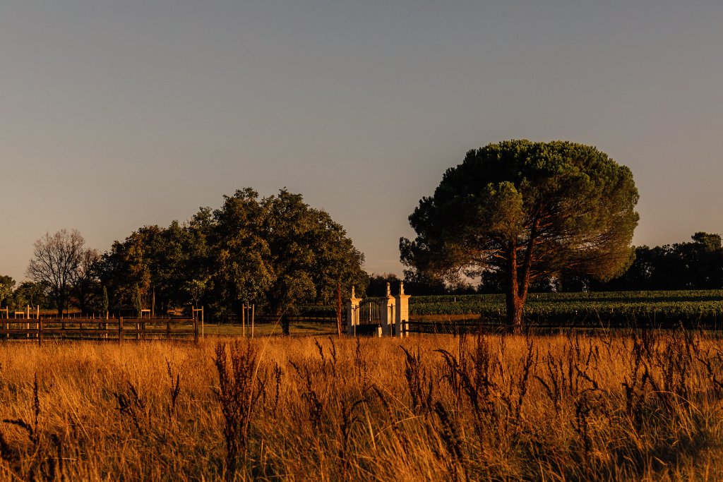 Prairie au coucher du soleil