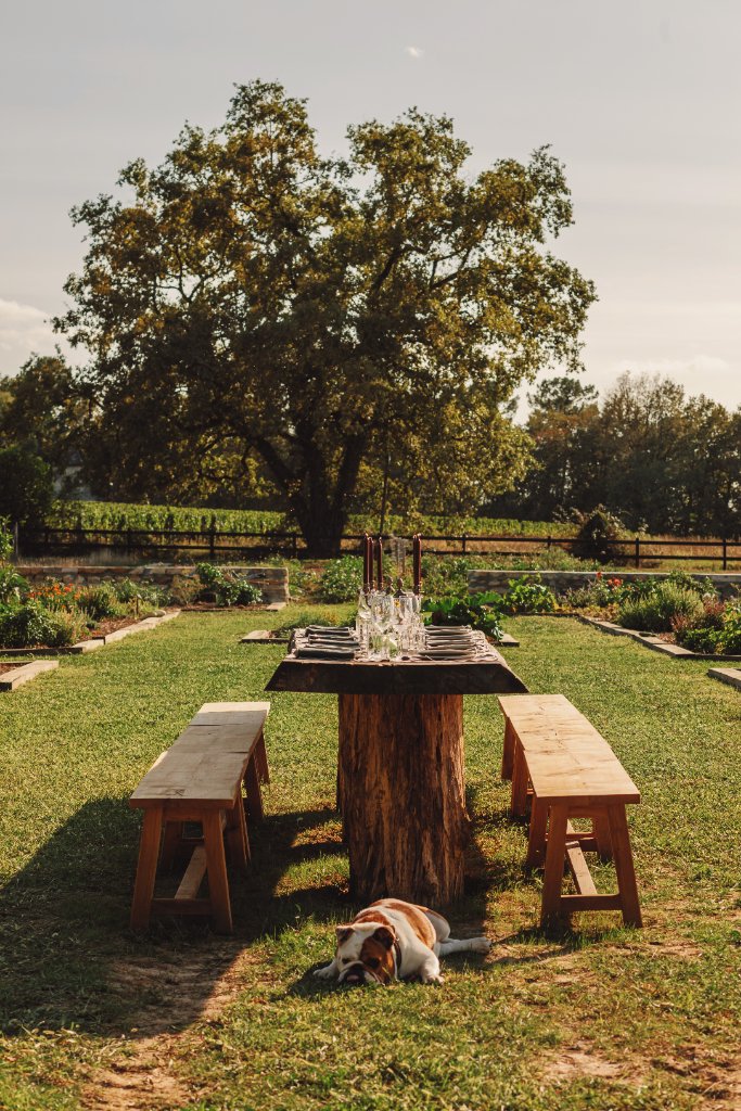 Table au potager