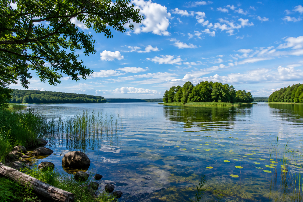 Müritz-Nationalpark