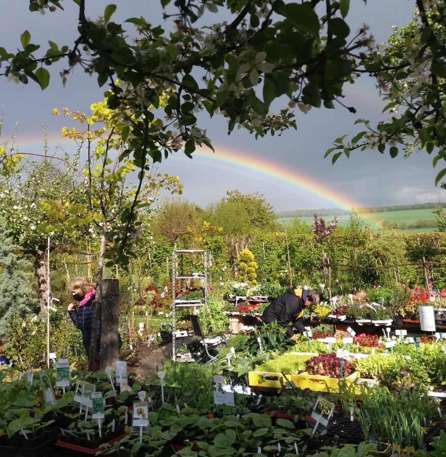 Regenbogen über der Gärtnerei