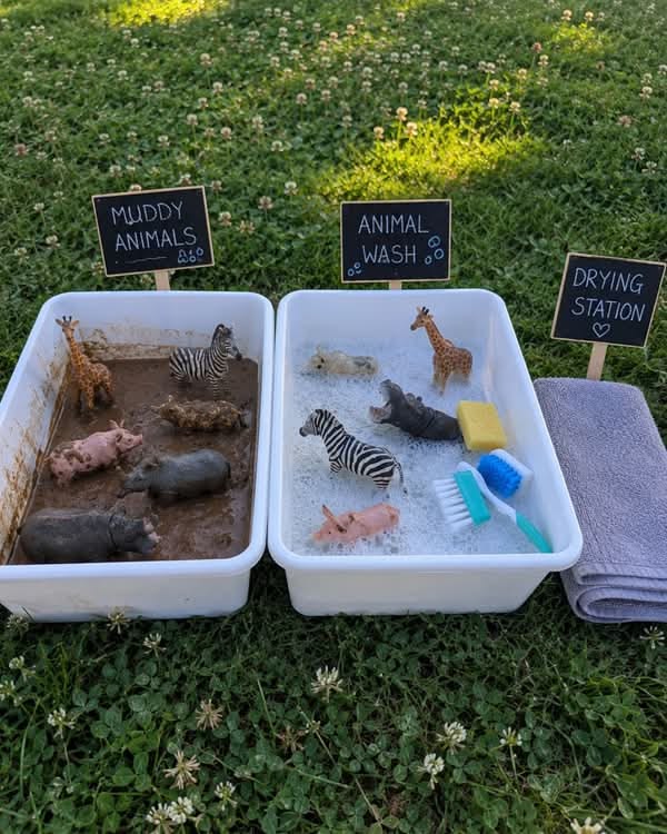 Muddy animals, animal wash, and drying station on a lawn