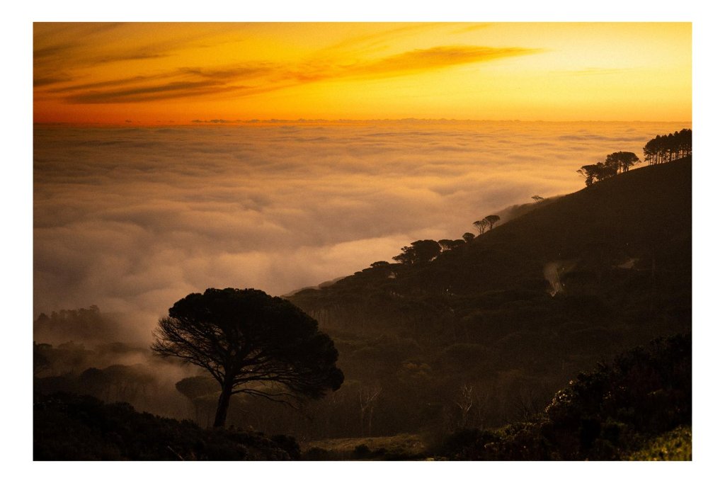 CAPE · DUSK