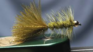 Woolly Bugger