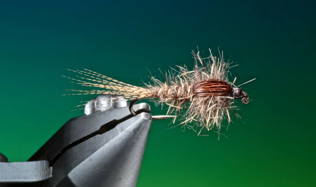 Hare's Ear Nymph