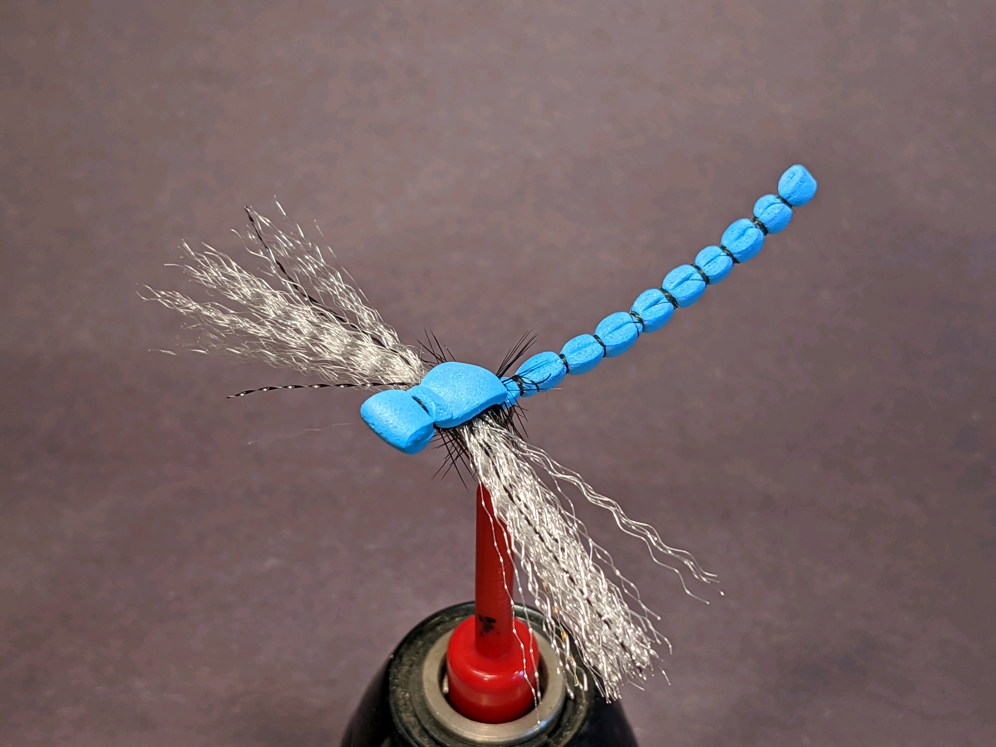 Foam-Wing Damsel