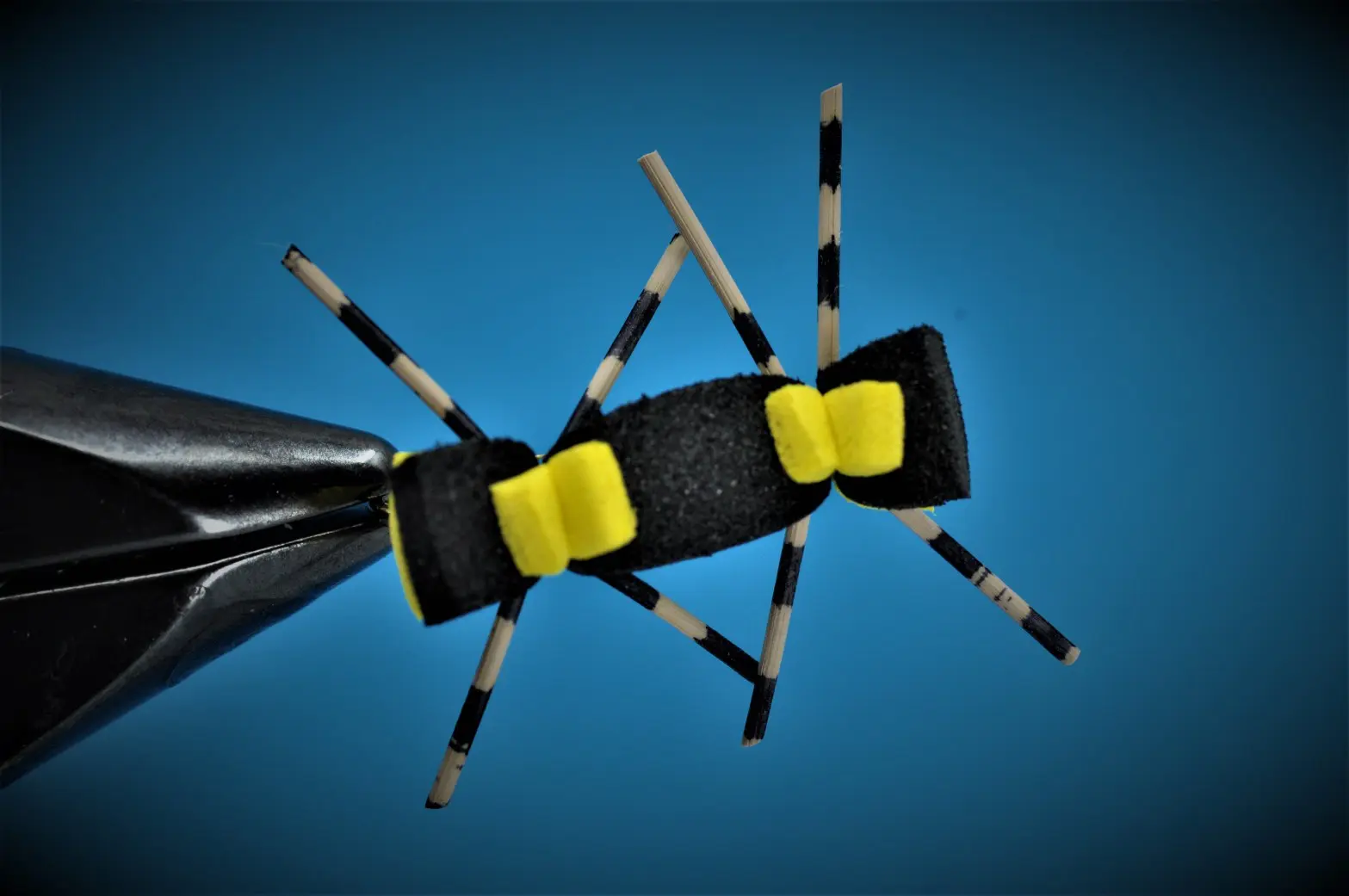 Chernobyl Ant