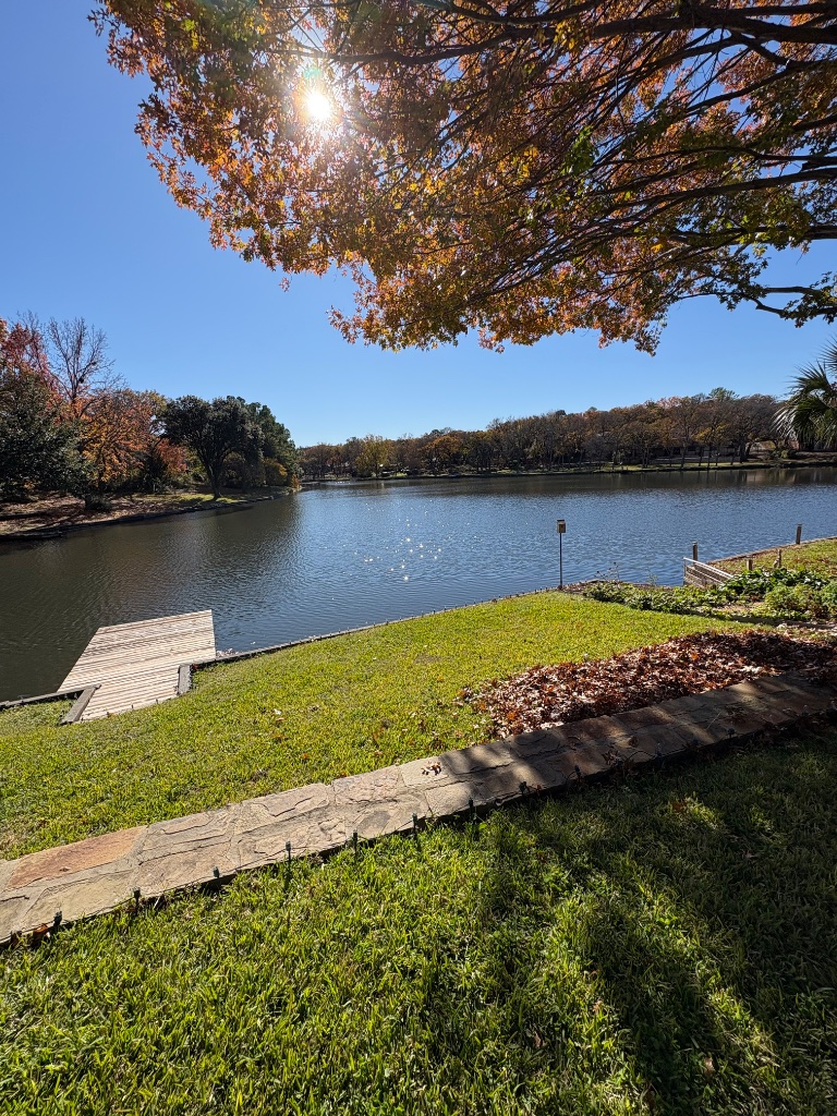 When Is the Best Time to Remove Leaves in DFW?