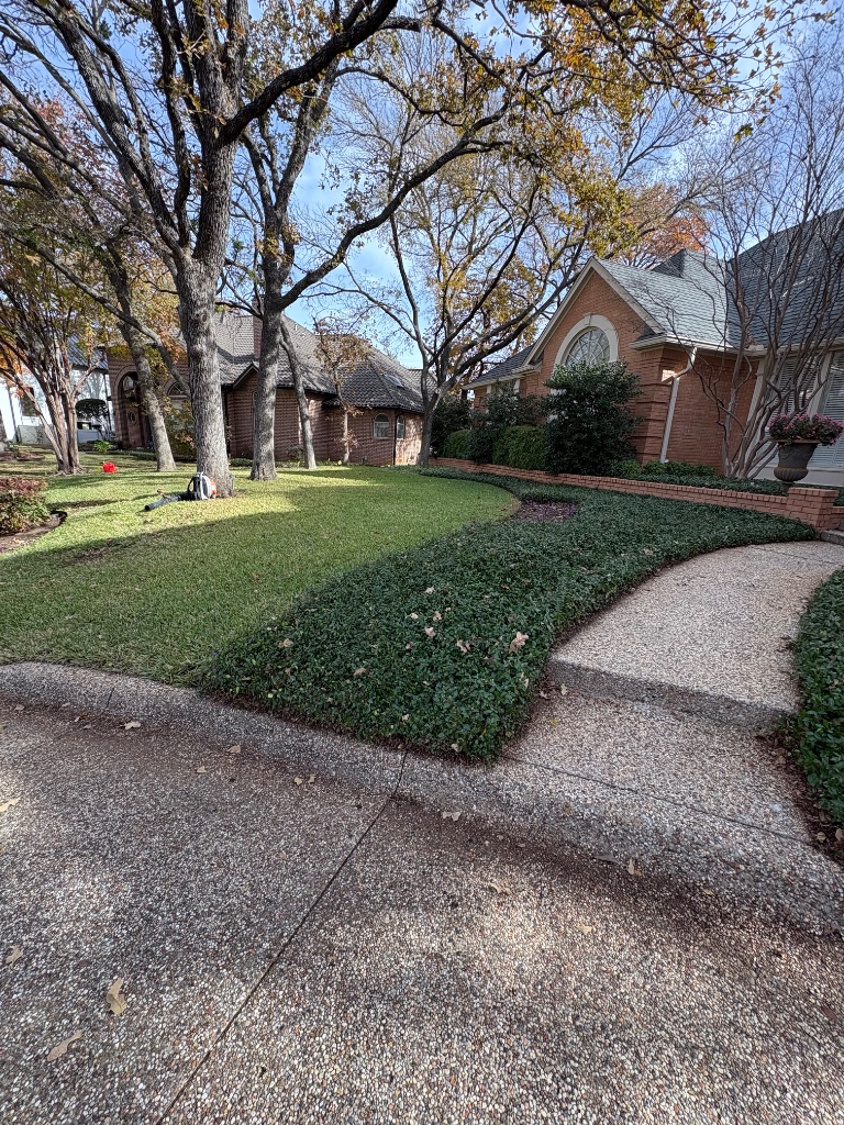 How Often Should You Remove Leaves During Fall?