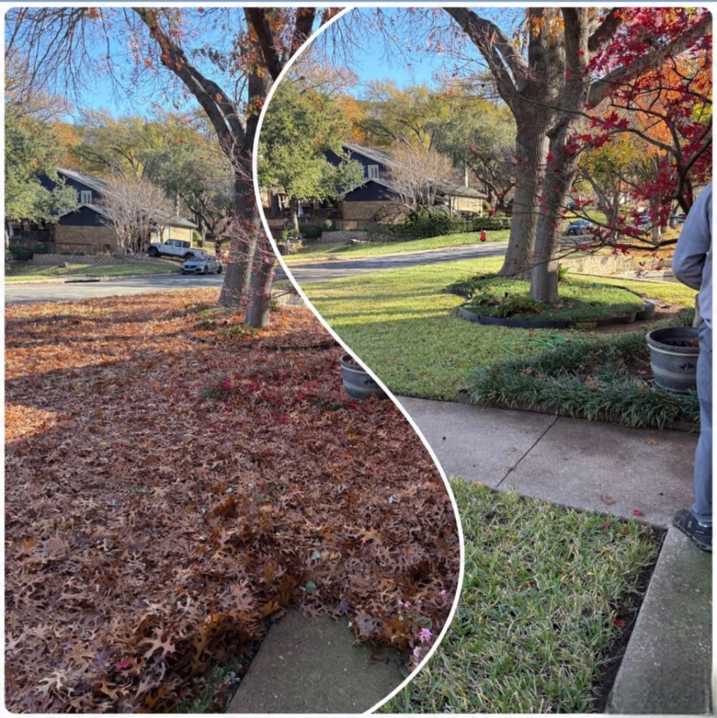 arlington tx leaf removal before after transformation bagless service