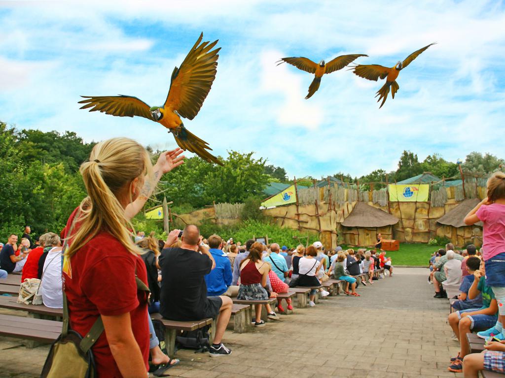 Vogelpark Marlow