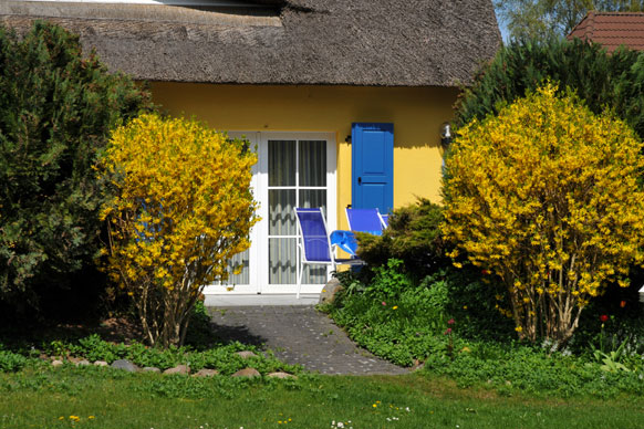 Typ B – Bild 2
