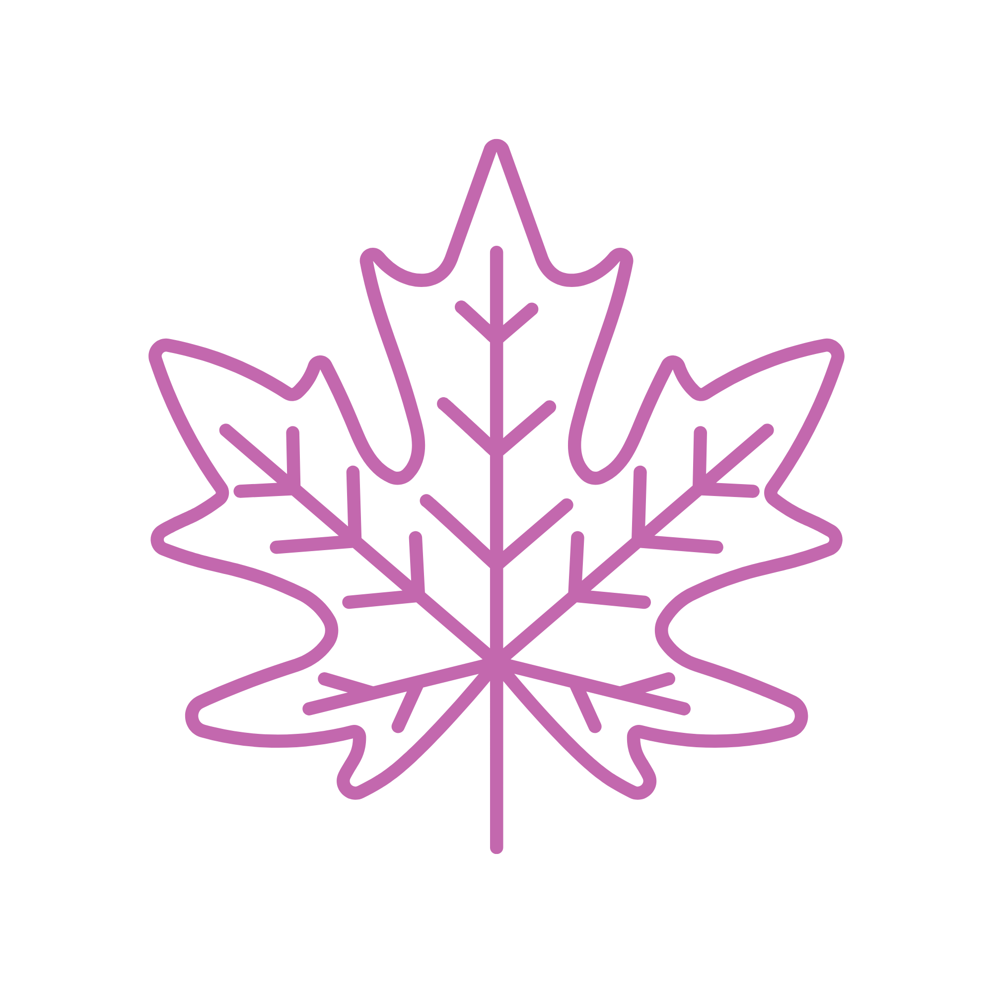Maple Wallet