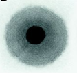 Blotter spot example 4