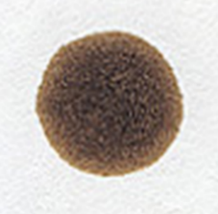 Blotter spot example 2