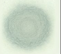 Blotter spot example 3