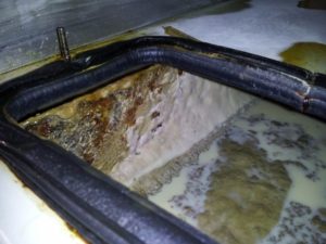 Contaminated coolant sump with bacteria growth