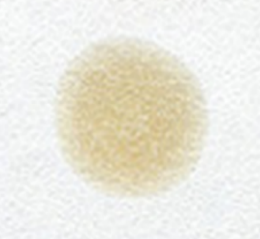 Blotter spot example 1