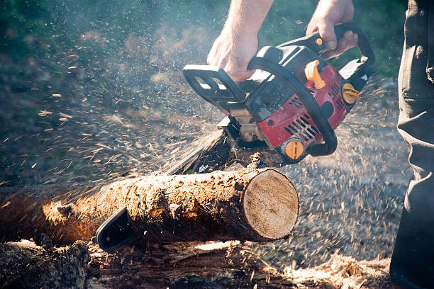 Chainsaw lubrication