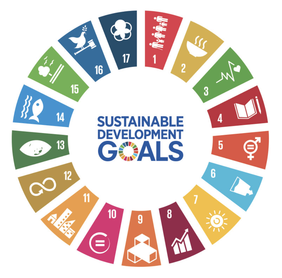 Objetivos de Desarrollo Sostenible de la ONU