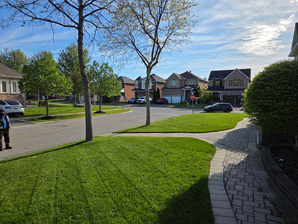Front lawn with walkway