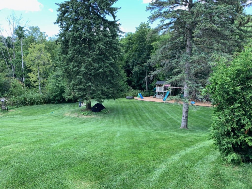 Freshly cut residential lawn maintained by Michael Durham Landscaping in Durham Region