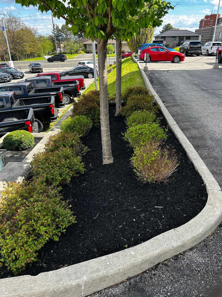 Garden Maintenance