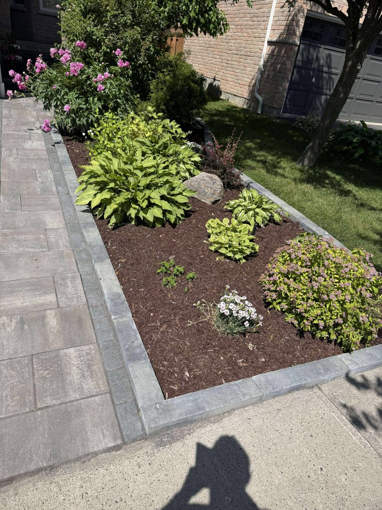 Driveway garden bed, residential landscaping by Michael Durham Landscaping (Durham Region, 2025)