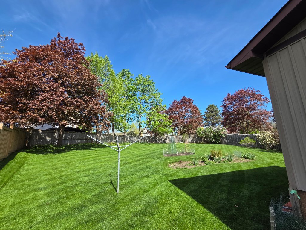 Striped backyard cut