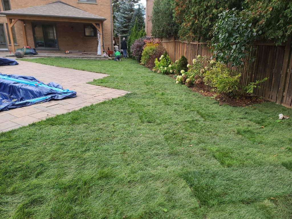 Poolside sod — complete