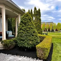 Tree & hedge shaping, garden maintenance by Michael Durham Landscaping (Durham Region, 2025)