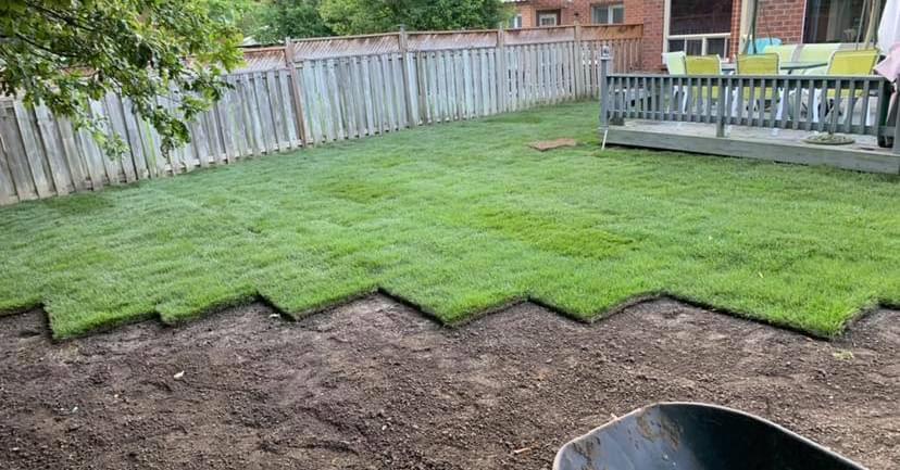 Backyard sod in progress