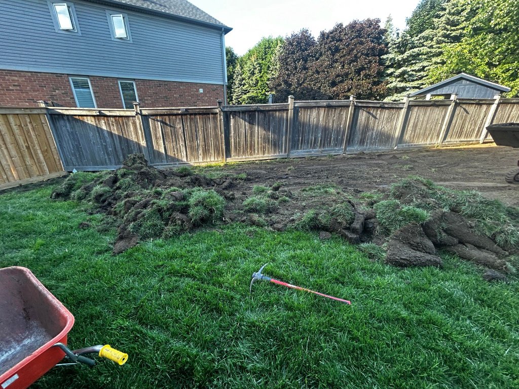 Sod removal process