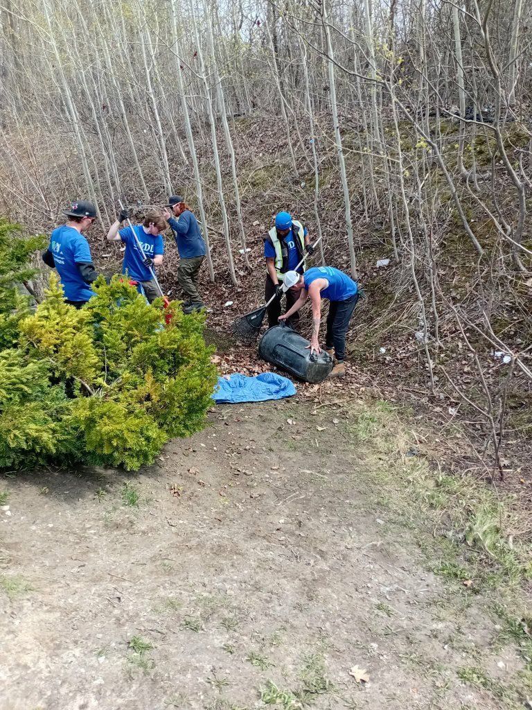 Crew clearing hillside