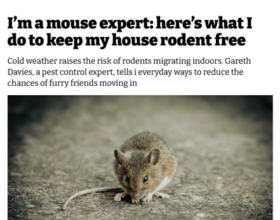 I'm a Mouse Expert: Here's What I Do to Keep My House Rodent Free thumbnail
