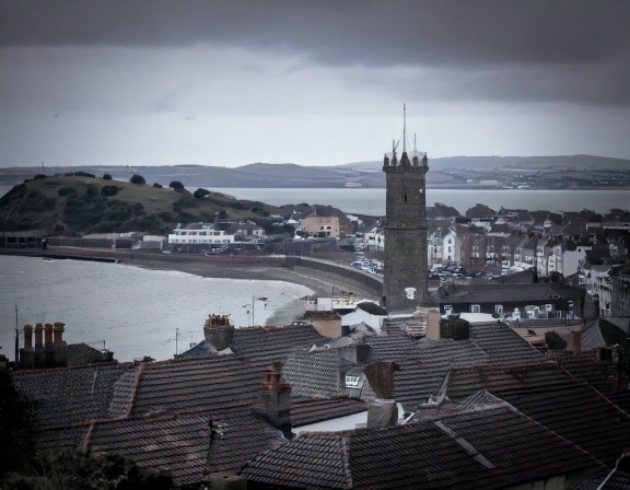 Pest control Swansea