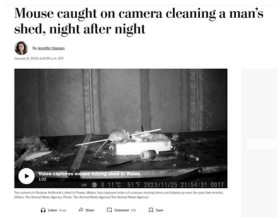 Mouse Caught on Camera Cleaning a Man's Shed, Night After Night thumbnail
