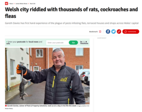 Welsh City Riddled with Thousands of Rats, Cockroaches and Fleas thumbnail