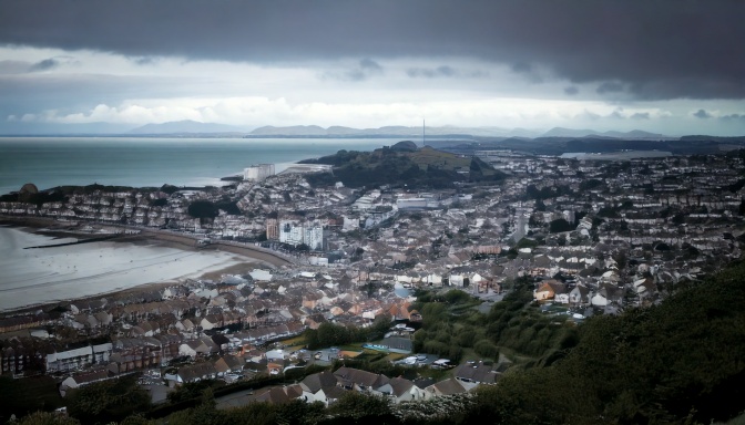 Pest & Property pest control services in Swansea, South Wales