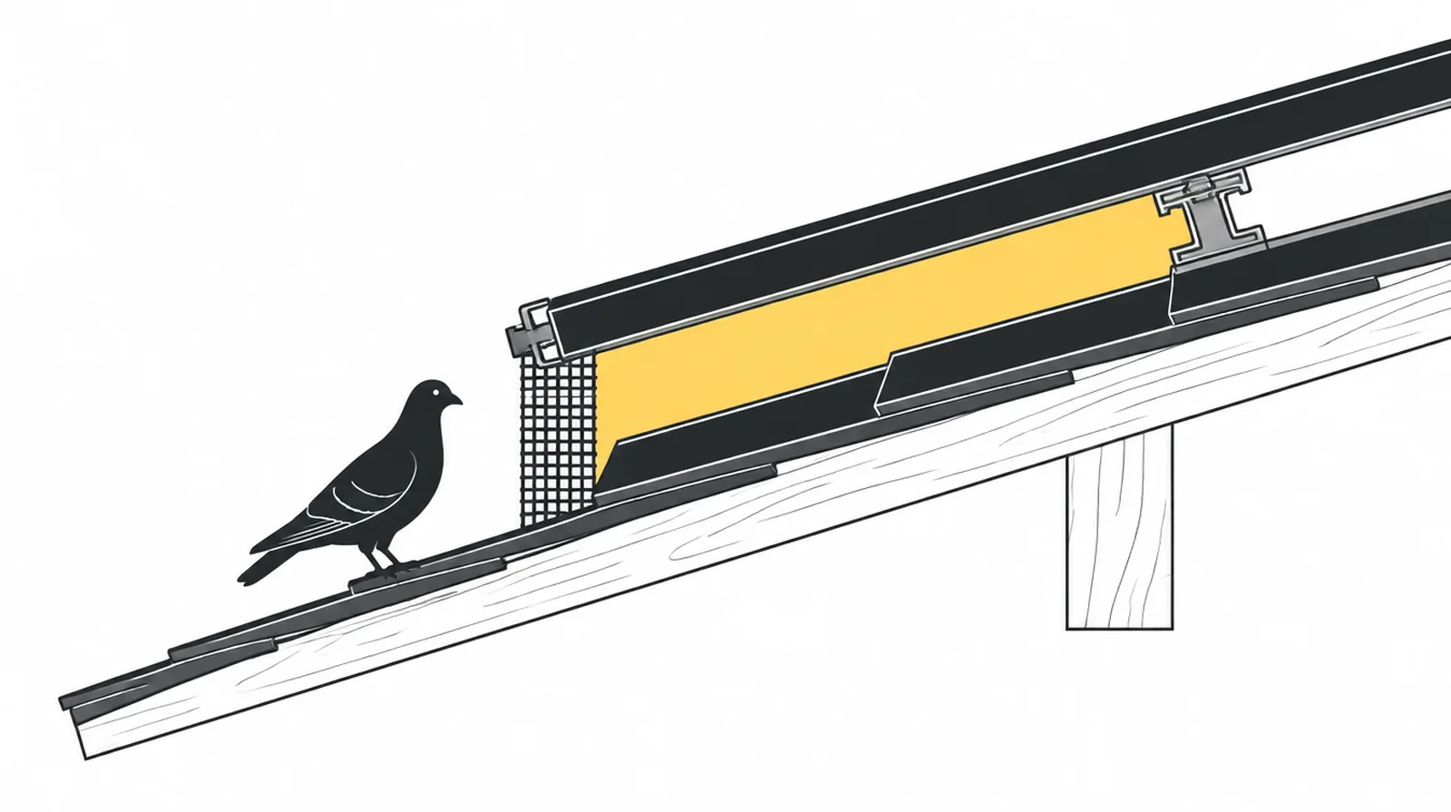 How solar panel bird proofing closes the gap without touching the panels