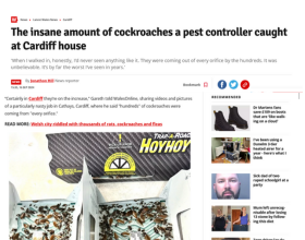 The Insane Amount of Cockroaches a Pest Controller Caught at Cardiff House thumbnail