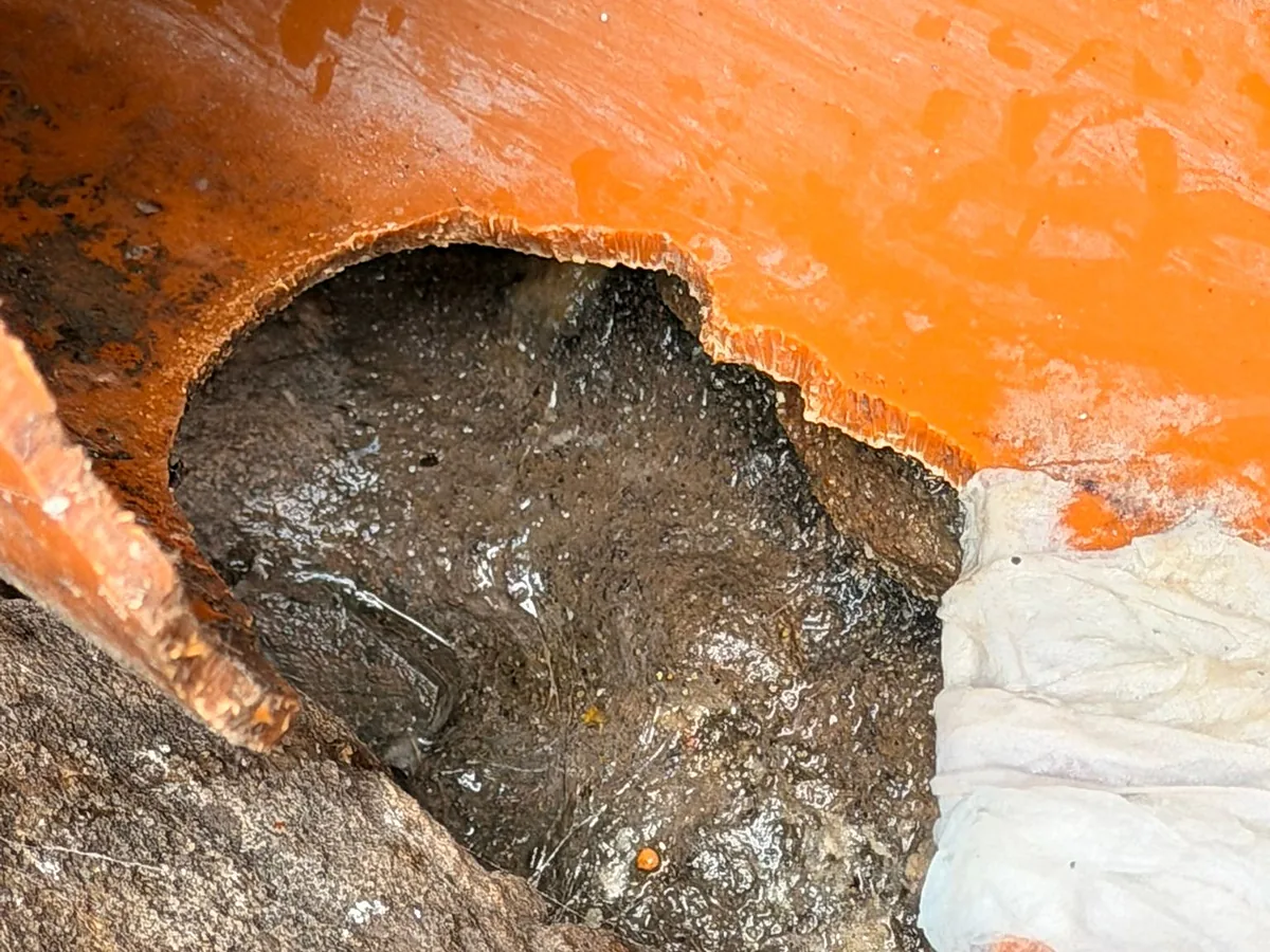 Broken clay drain pipe with debris behind it, forming a rat entry point