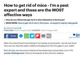 How to Rid Mice: I'm a Pest Expert and These Are the Most Effective Ways thumbnail