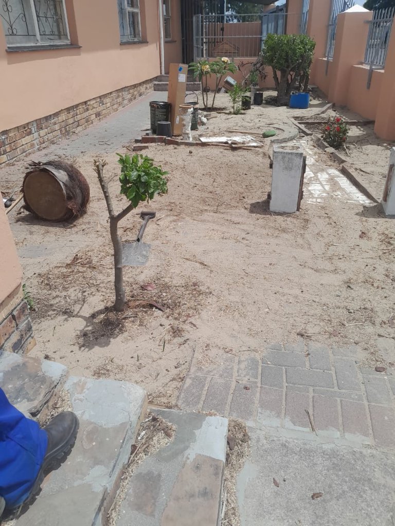 Site clearing after tree removal