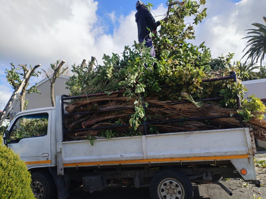 Tree debris loaded for removal - Elite Tree Felling