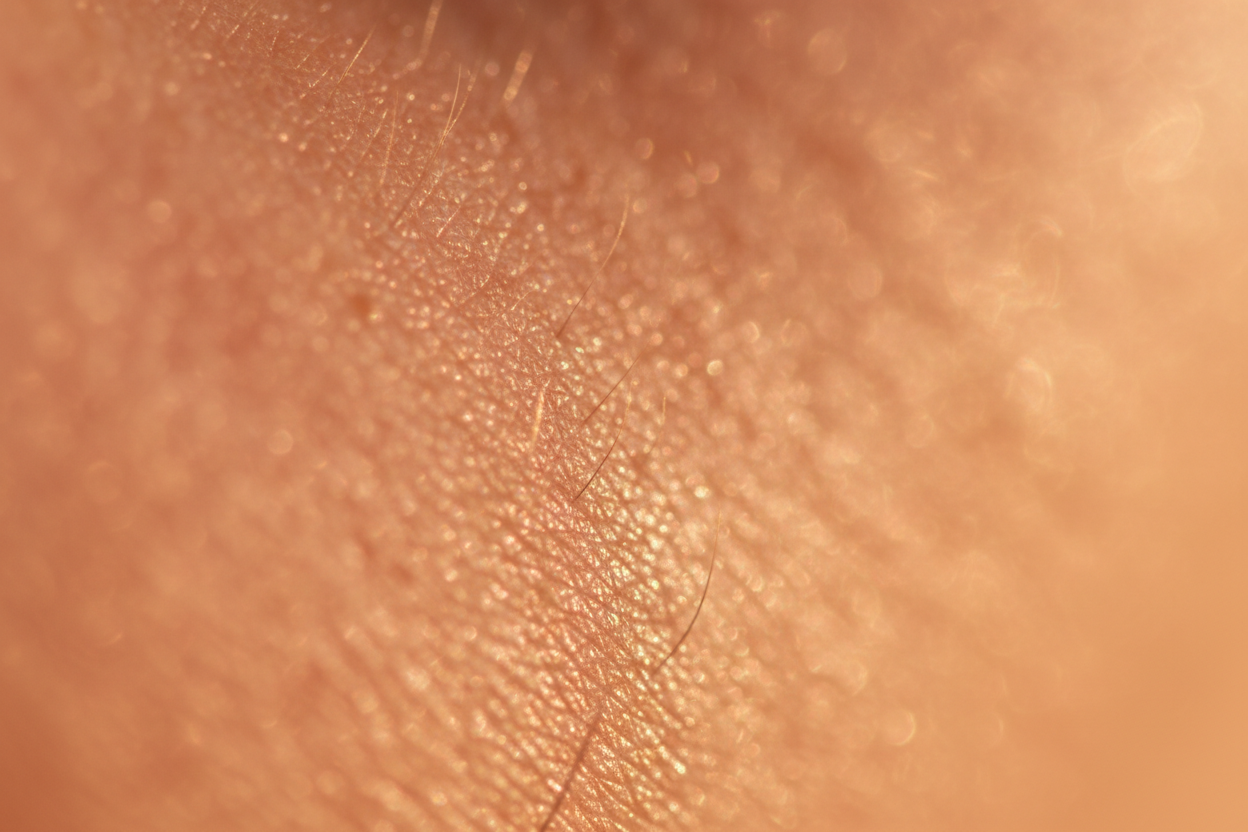 Healthy radiant skin in morning light