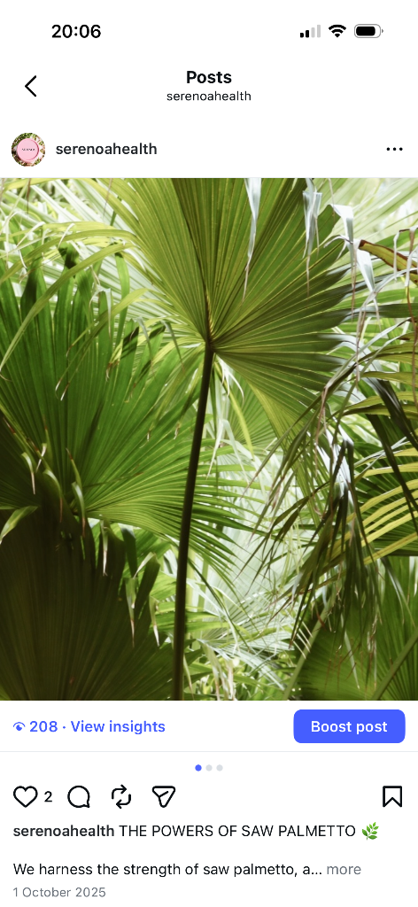 Saw Palmetto